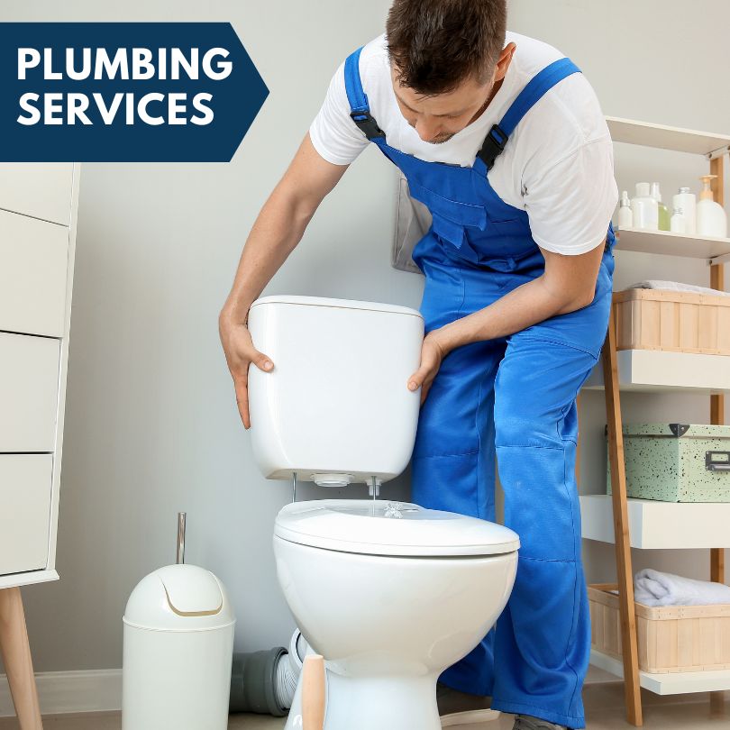 Plumbing Company in Guttenberg, IA